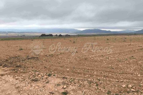 Helårsgrund i Yecla, Murcia, Yecla - € 47.000 | Ref: SF0566 - foto 12